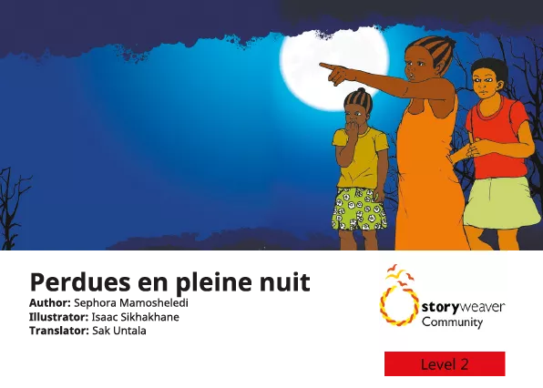 Cover thumbnail - Perdues en pleine nuit