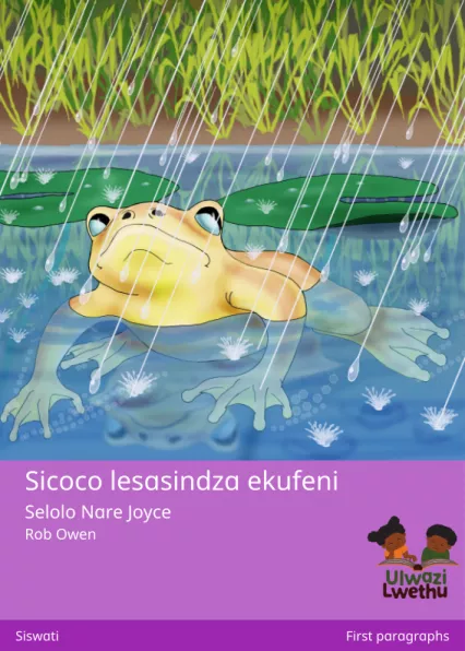 Cover thumbnail - Sicoco lesasindza ekufeni